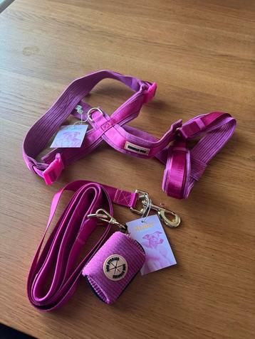 Honden harnas met riem beschikbaar voor biedingen