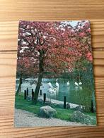 Ansichtkaart Rotterdam, diergaarde blijdorp, Ophalen of Verzenden, Voor 1920, Zuid-Holland