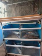 Stelling met 3 aquarium  bakken, Ophalen, Leeg aquarium