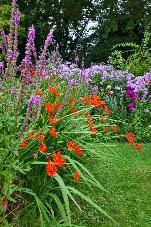 Tuinonderhoud Amersfoort!, Diensten en Vakmensen, Tuinmannen en Stratenmakers, Tuinonderhoud of Snoeiwerk