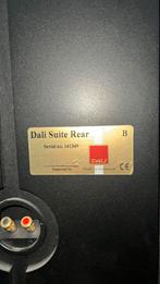 Dali rear speakers, Audio, Tv en Foto, Luidsprekers, Ophalen of Verzenden, Zo goed als nieuw, Front, Rear of Stereo speakers, Overige merken