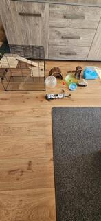 knaagdierhok Met toebehoren en een nieuwe baal Vlas, Kooi, Gebruikt, Minder dan 75 cm, Hamster