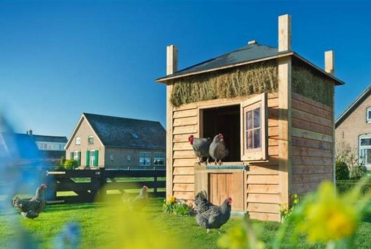 De Landleven Hooiberg Handgemaakt, Robuust en Ijzersterk, Dieren en Toebehoren, Pluimvee | Toebehoren, Nieuw, Kippenhok of Kippenren
