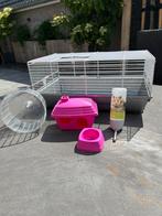 Hamsterkooi, Ophalen, Minder dan 75 cm, Kooi, Minder dan 60 cm