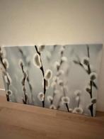 Canvas doek 118 x 77 cm. Katjes takken Ikea, Ophalen, Zo goed als nieuw, Schilderij, 100 tot 125 cm