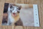 Poesje miauwt, Verzamelen, Ansichtkaarten | Dieren, Verzenden, 1980 tot heden, Ongelopen, Hond of Kat