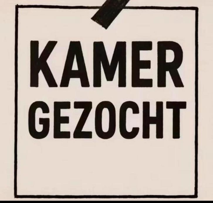 Te huur gevraagd kamer / woonruimte voor volwassen vrouw, Huizen en Kamers, Kamers te huur, Utrecht