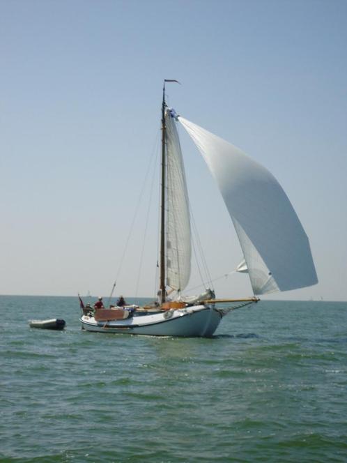 Lemsteraak Blom 10.10 (1990), Watersport en Boten, Platbodems, Gebruikt, 9 tot 12 meter, Staal, Diesel, Ophalen
