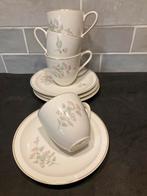 Kop en schotel Petrus Regout, Huis en Inrichting, Keuken | Servies, Ophalen of Verzenden, Zo goed als nieuw, Overige stijlen, Kop(pen) en/of Schotel(s)