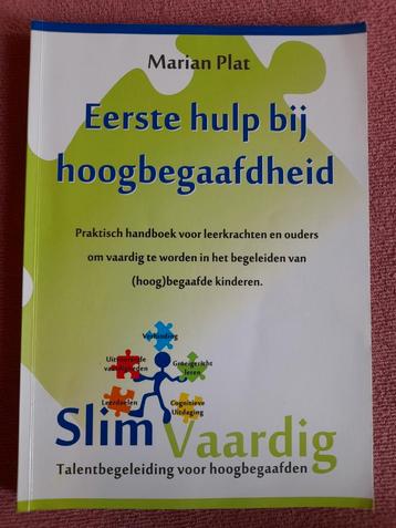 Slim Vaardig - Talent begeleiding voor hoogbegaafden beschikbaar voor biedingen