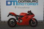 DUCATI 1098 (bj 2008) Termignoni, DUCATI, 2 cilinders, 1099 cc, Motorrijbewijs A