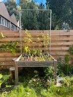 Makkelijke moestuin bak met klimrek twv 300 euro!, Tuin en Terras, Kweekspullen, Ophalen, Gebruikt, Kweektafel