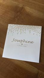 Josephine, Ophalen of Verzenden, 2000 tot heden