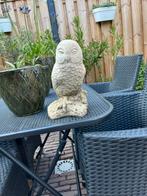 Beeld Uil Beton, Tuin en Terras, Tuinbeelden, Ophalen of Verzenden, Zo goed als nieuw