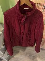 Yessica Maat 46 🟢, Ophalen of Verzenden, Zo goed als nieuw, Maat 46/48 (XL) of groter