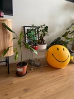 Glazen kubus met twee open zijdes, Ophalen, Halfschaduw, Minder dan 100 cm