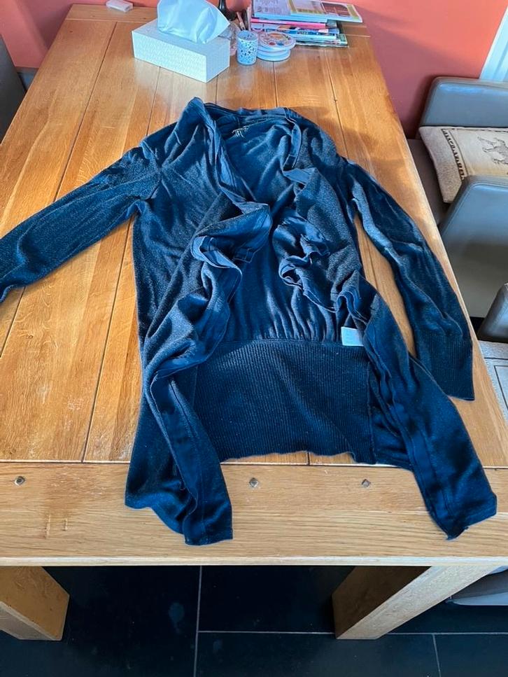 Blauw lang Question vestje, maat L, Kleding | Dames, Truien en Vesten, Zo goed als nieuw, Maat 42/44 (L), Blauw, Verzenden