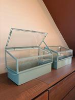 Glazen Kweekbakken voor Moestuin, Ophalen of Verzenden, Zo goed als nieuw, Kweekbak