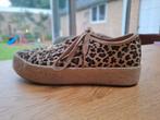 Schoenen luipaardprint - maat 40, Blue Box, Bruin, Nieuw, Ophalen of Verzenden