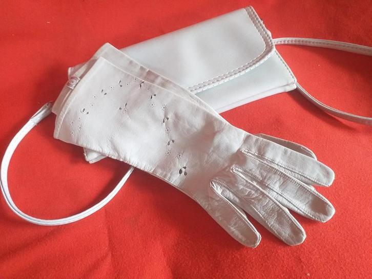 Handschoenen en tasje, Kleding | Dames, Mutsen, Sjaals en Handschoenen, Gedragen, Handschoenen, Maat 38/40 (M), Ophalen of Verzenden