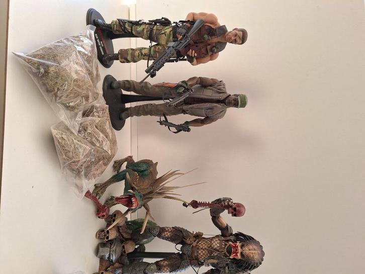 Hot Toys Predator Collectie en Custom 1:6 UNIEK!!!!, Verzamelen, Film en Tv, Gebruikt, Film, Beeldje, Replica of Model, Ophalen of Verzenden