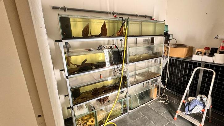 Kweekstelling 6x100cm dubbel bio en intern filter 1,5 oud, Dieren en Toebehoren, Vissen | Aquaria en Toebehoren, Zo goed als nieuw