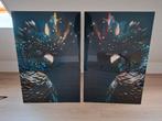 Posterjunkie kaketoe plexiglas posters 2 stuks, Huis en Inrichting, Ophalen of Verzenden, Zo goed als nieuw, 75 tot 100 cm, Foto of Poster