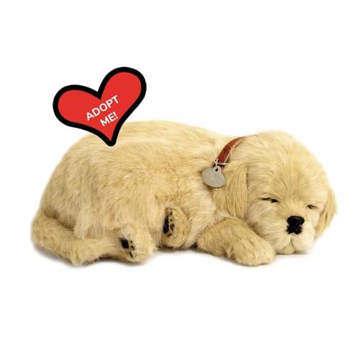 Perfect petzzz golden retriever pup ademt 'echt', Kinderen en Baby's, Speelgoed | Knuffels en Pluche, Nieuw, Hond, Ophalen of Verzenden