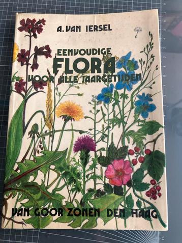 Eenvoudige Flora voor alle jaargetijden beschikbaar voor biedingen