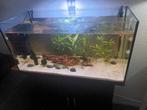 Compleet aquarium met onderkast, Ophalen, Zo goed als nieuw, Leeg aquarium