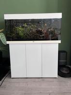 Juwel Rio 180 Aquarium met onderkast, Dieren en Toebehoren, Ophalen, Zo goed als nieuw, Gevuld zoetwateraquarium