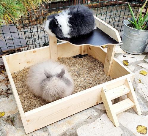 konijnen zandbak, Dieren en Toebehoren, Knaagdieren en Konijnen | Toebehoren, Nieuw, Ophalen of Verzenden