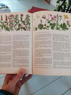 Europese Natuurgids 1974, Boeken, Ophalen of Verzenden, Gelezen, Natuur algemeen, Christoph Needon/Dr. Johannes Petermann