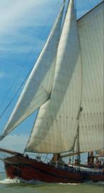 Gebruikte Fok 60 m², Watersport en Boten, 6 meter of meer, Gebruikt, Genua of Fok, Ophalen