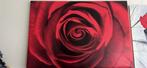 IKEA Schilderij Roos, Ophalen, Zo goed als nieuw, Schilderij, Minder dan 50 cm