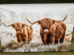 Tuinposter hooglanders showmodel €15,-, Ophalen