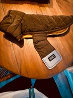 Honden winterjas, Dieren en Toebehoren, Ophalen of Verzenden, Zo goed als nieuw, Hondenjas