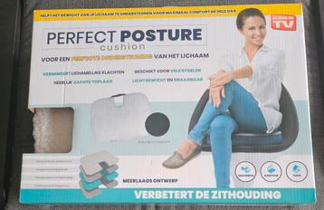 Perfect Posture Zitkussen - zgan beschikbaar voor biedingen