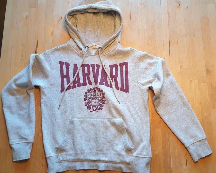 Harvard University hoodie in maat XS, Kleding | Dames, Truien en Vesten, Gedragen, Maat 34 (XS) of kleiner, Grijs, Ophalen of Verzenden