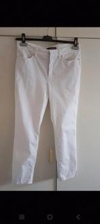 Cambio zomerbroek, Ophalen of Verzenden, Gedragen, Blauw, W30 - W32 (confectie 38/40)