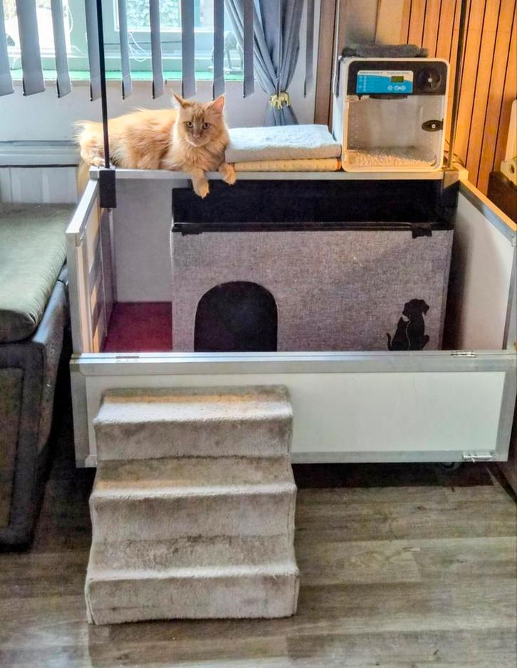 Kitten's verwacht....vandaag is de 65 dag...., Dieren en Toebehoren, Katten en Kittens | Raskatten | Langhaar, Meerdere dieren