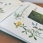Wilde planten boek deel 2, Antiek en Kunst, Antiek | Boeken en Bijbels, Ophalen of Verzenden