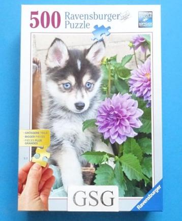 Schattige husky 500 st nr. 13 682 7-01 (Nieuw) beschikbaar voor biedingen