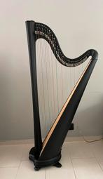 Salvi Hermes Harp met darmsnaren Compleet!, Ophalen of Verzenden, Zo goed als nieuw
