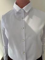 Witte bloeses Nieuw! Partij horeca, Ophalen of Verzenden, Nieuw, Maat 46/48 (XL) of groter, Wit