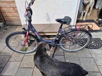 Batavus meidenfiets met nieuw zadel beschikbaar voor biedingen