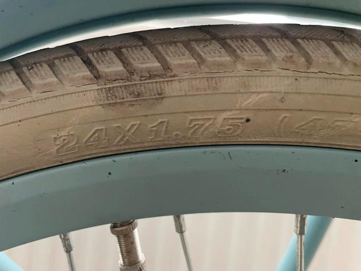 Meisjesfiets - Wegens Emigratie!, Fietsen en Brommers, Fietsen | Meisjes, Gebruikt, 24 inch, Handrem, Ophalen