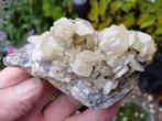 D3-6 Calciet schijven UV roze Madan Bulgarije #collectie, Ophalen of Verzenden, Mineraal