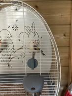 Majoor putter (koppel), Dieren en Toebehoren, Vogels | Kanaries, Meerdere dieren, Bastaard