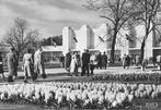 Heemstede - Flora 1953 - 4, Verzamelen, Ansichtkaarten | Nederland, Ophalen of Verzenden, 1940 tot 1960, Ongelopen, Noord-Holland